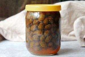 Варенье из сосновых шишек с медом